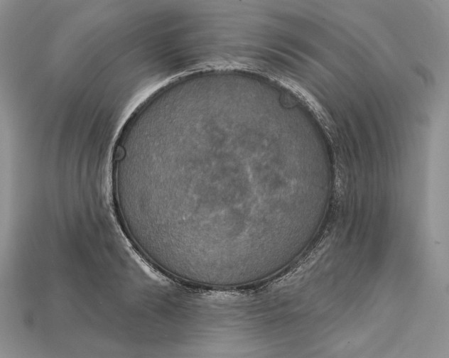 X0000114670894200911121330