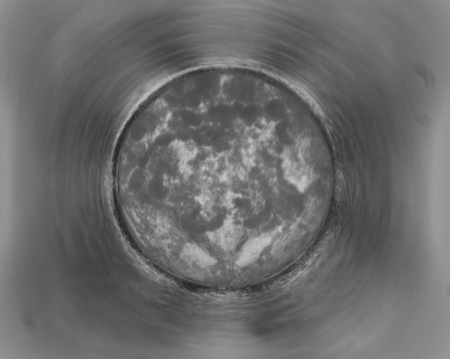 X0000114670895200911121330