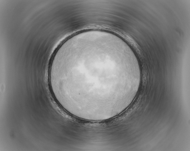 X0000114670896200911121330