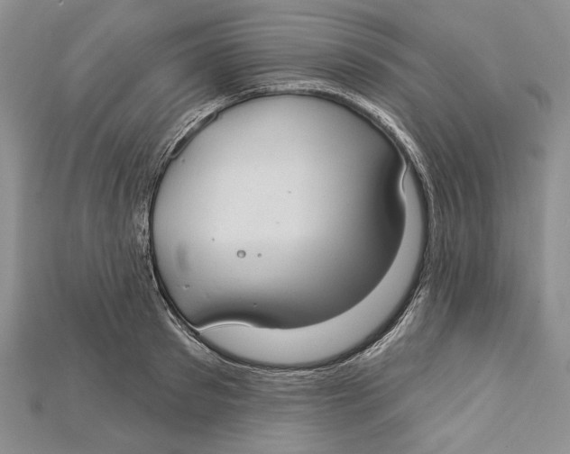 X0000114670897200911121330