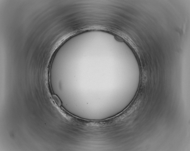 X0000114670898200911121330