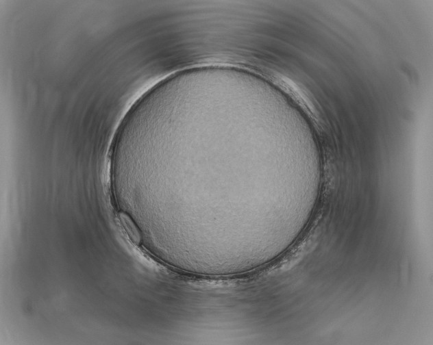 X0000114670900200911121330