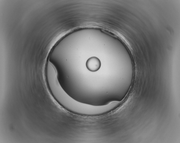 X0000114670901200911121330