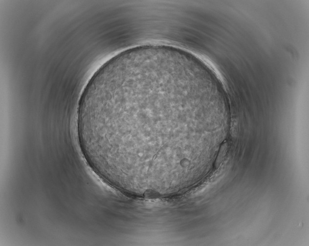 X0000114670903200911121330