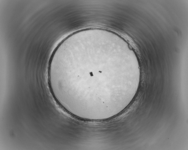 X0000114670904200911121330