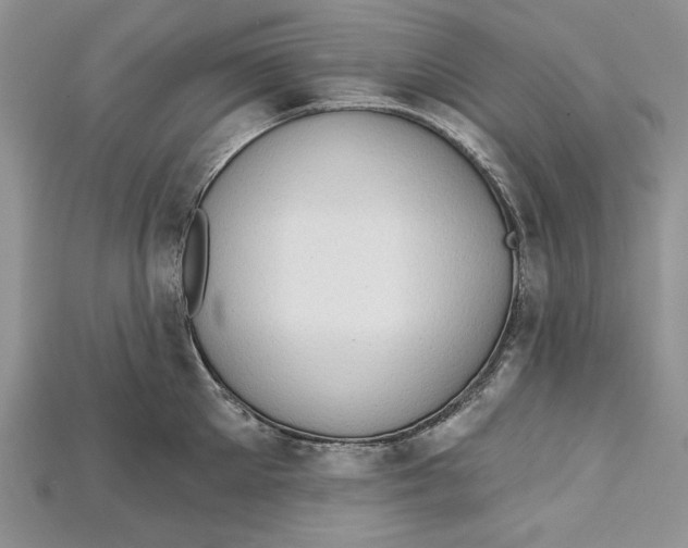 X0000114670905200911121330