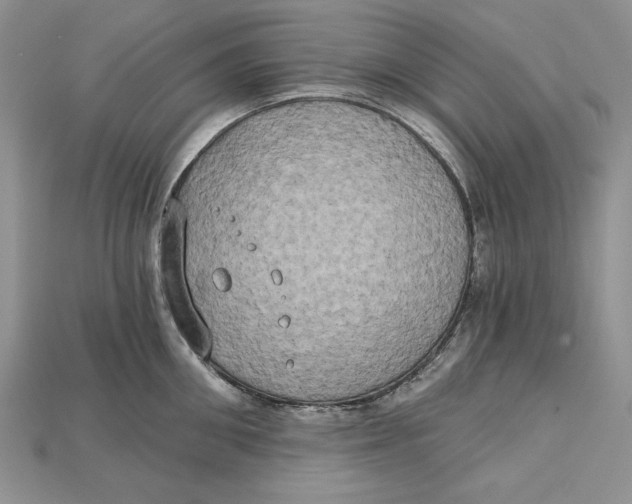 X0000114670906200911121330