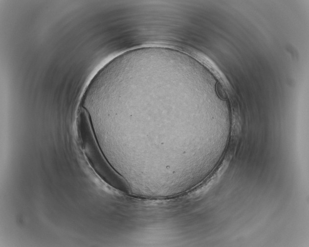 X0000114670908200911121330