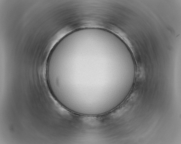 X0000114670909200911121330