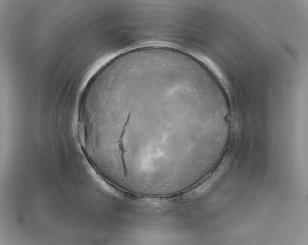 X0000114670910200911121330