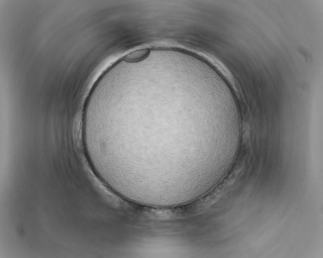 X0000114670911200911121330