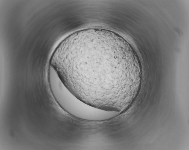 X0000114670912200911121330