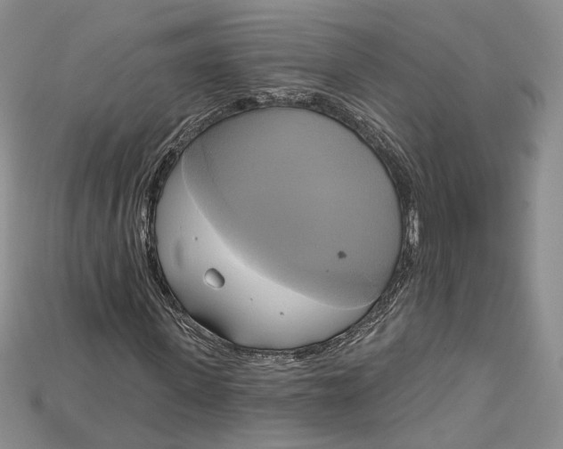 X0000114670915200911121330