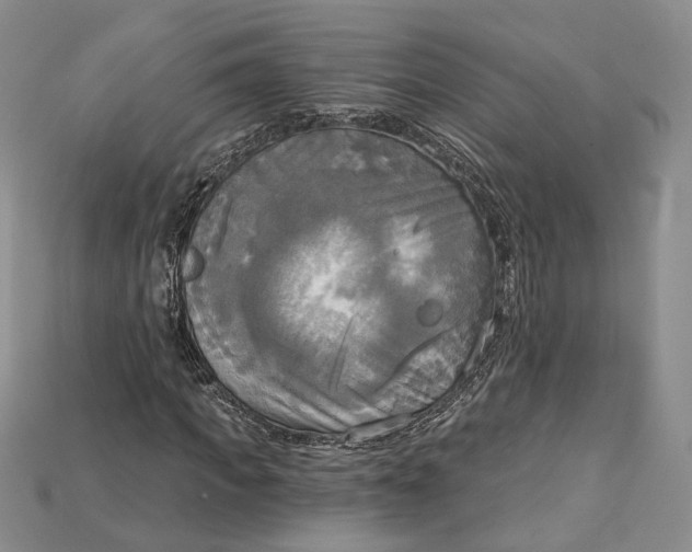 X0000114670917200911121330