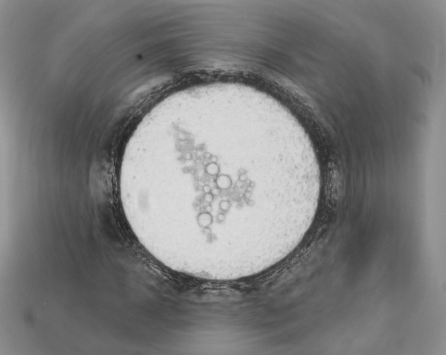 X0000114670918200911121330