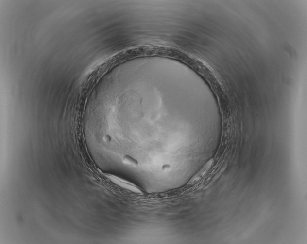 X0000114670919200911121330