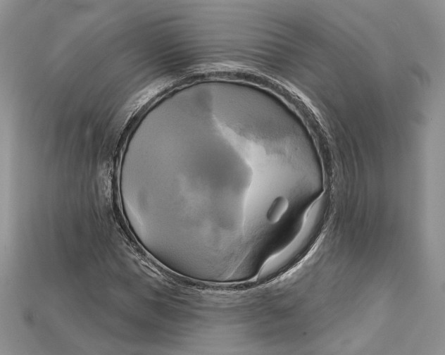 X0000114670921200911121330