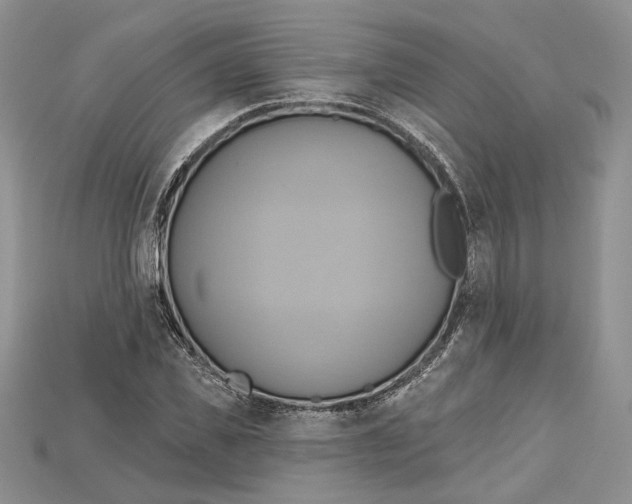 X0000114670925200911121330