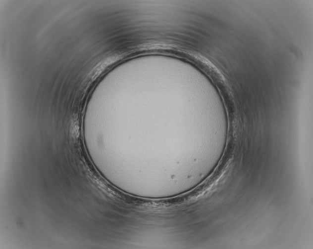 X0000114670929200911121330