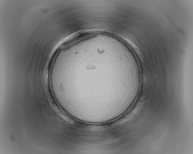 X0000114670933200911121330