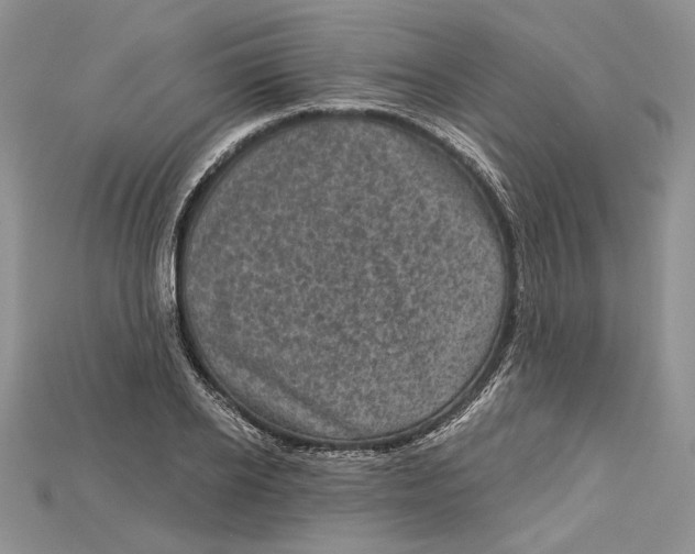 X0000114670934200911121330