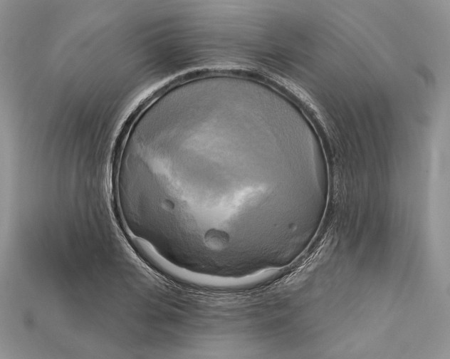 X0000114670935200911121330