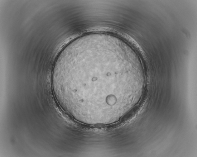 X0000114670937200911121330