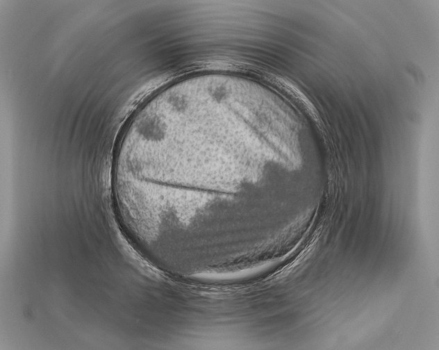 X0000114670938200911121330