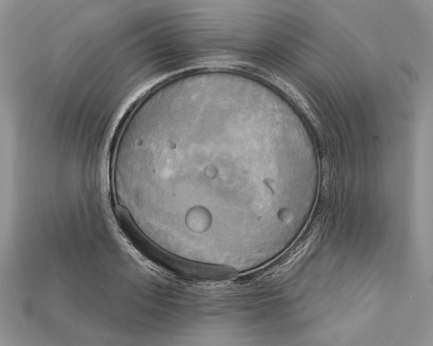 X0000114670939200911121330