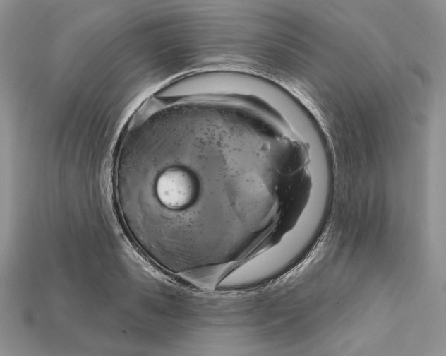 X0000114670941200911121330