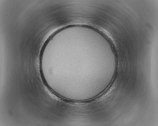 X0000114670942200911121330