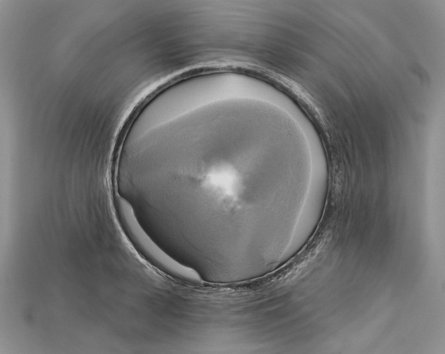 X0000114670943200911121330