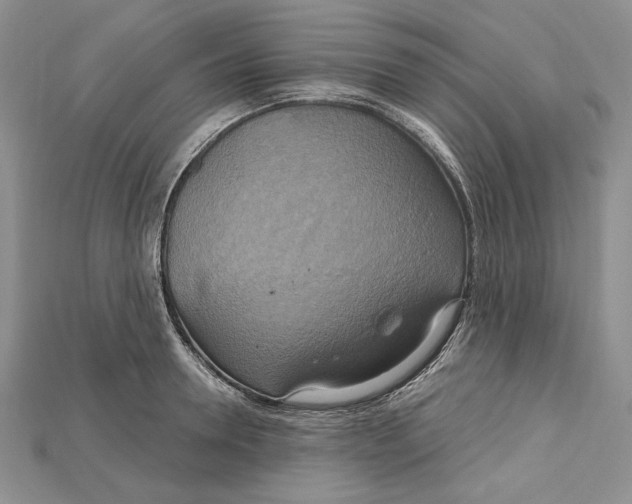 X0000114670946200911121330