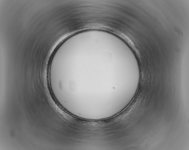 X0000114670947200911121330