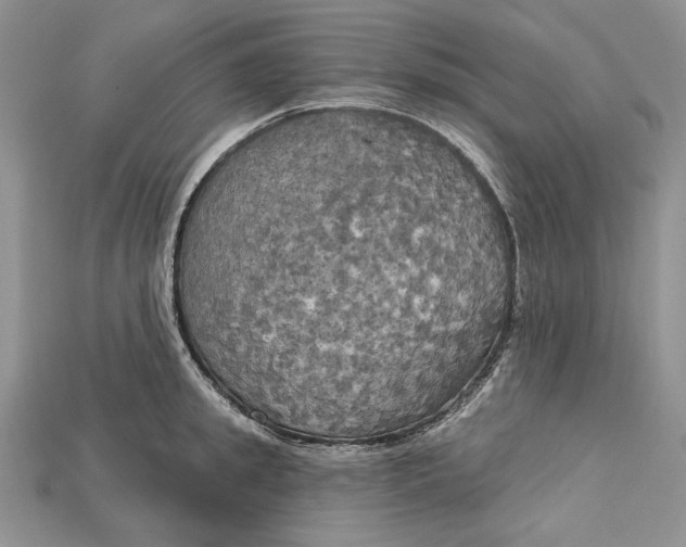 X0000114670949200911121330