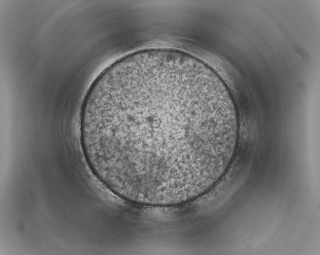 X0000114670950200911121330