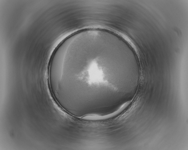 X0000114670951200911121330