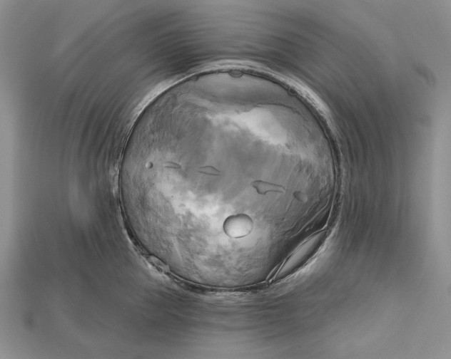 X0000114670953200911121330