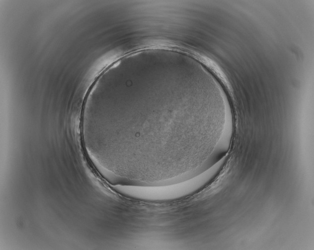 X0000114670954200911121330