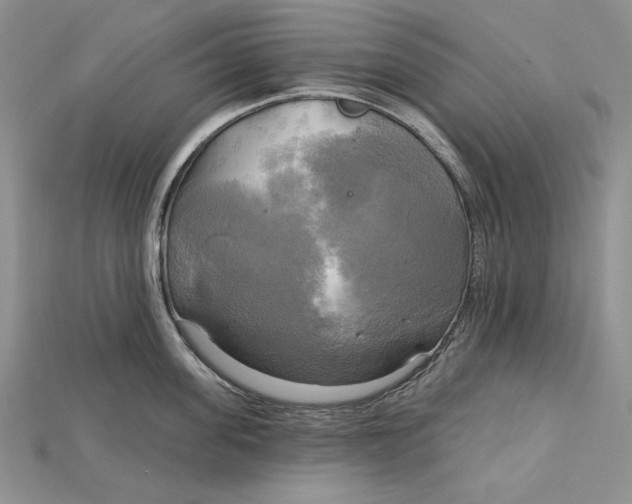 X0000114670955200911121330