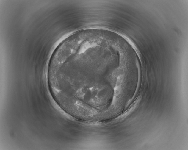 X0000114670957200911121330