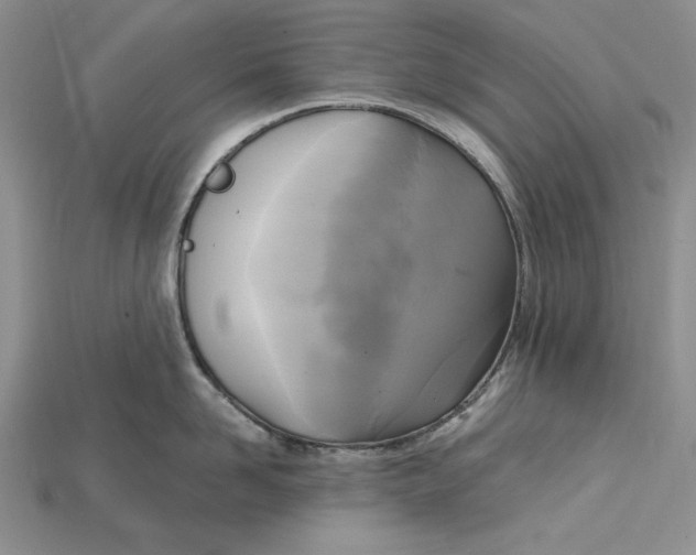 X0000114670958200911121330