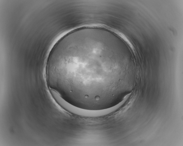 X0000114670959200911121330