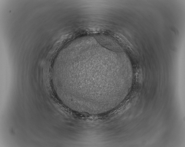 X0000114670961200911121330