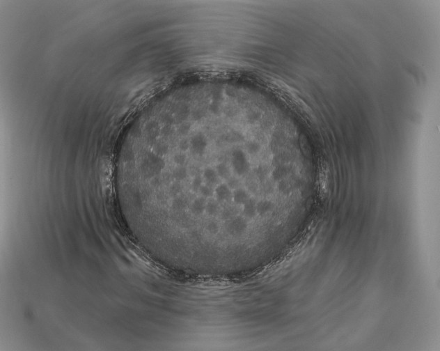 X0000114670964200911121329