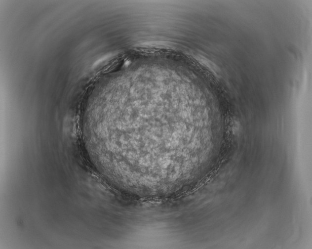 X0000114670965200911121329