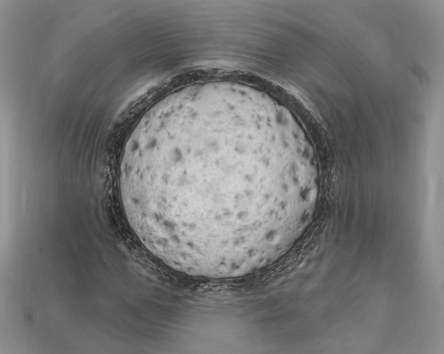 X0000114670967200911121329