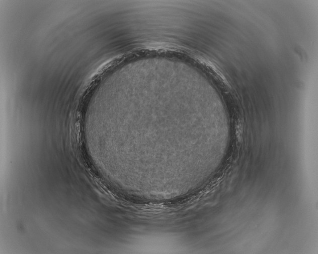 X0000114670968200911121329