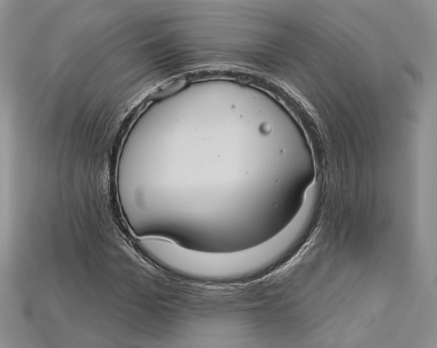 X0000114670969200911121329