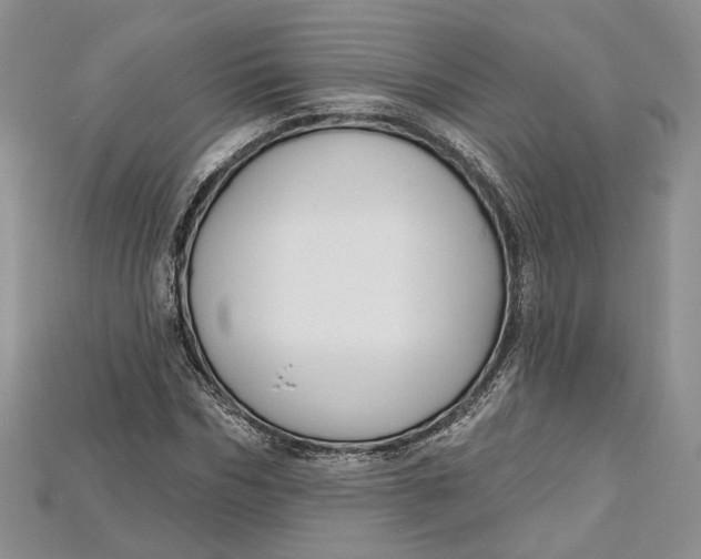 X0000114670970200911121329